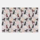 Labrador Retriever Paws en Botten Inpakpapier Vel (Voorkant 2)
