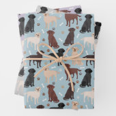 Labrador Retriever Paws en Botten Inpakpapier Vel (In situ)