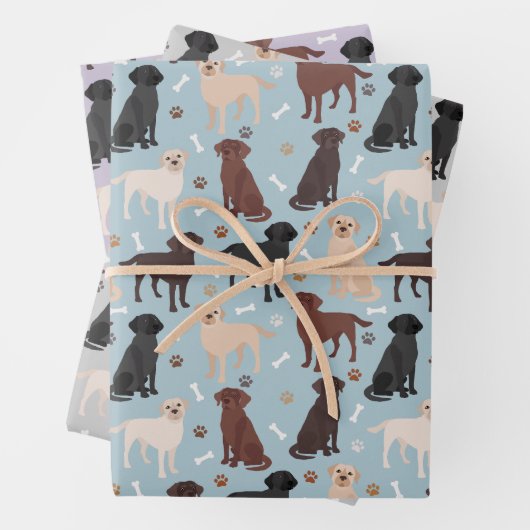 Labrador Retriever Paws en Botten Inpakpapier Vel (In situ)