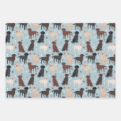 Labrador Retriever Paws en Botten Inpakpapier Vel (Voorkant)