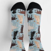 Labrador Retriever Paws en Botten Sokken (Top)