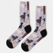 Labrador Retriever Paws en Botten Sokken (Links)