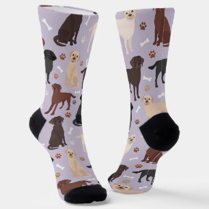 Labrador Retriever Paws en Botten Sokken