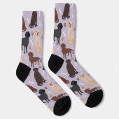 Labrador Retriever Paws en Botten Sokken (Rechts)