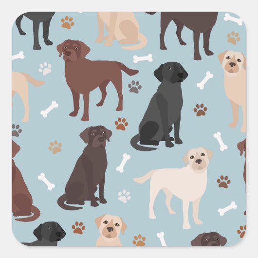 Labrador Retriever Paws en Botten Vierkante Sticker (Voorkant)