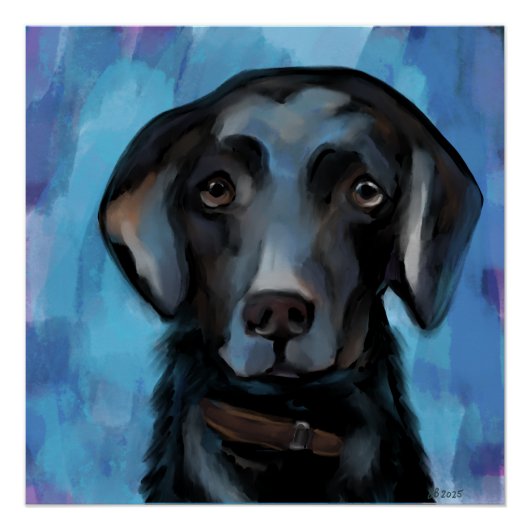 Labrador Retriever  Perfect Poster (Voorkant)