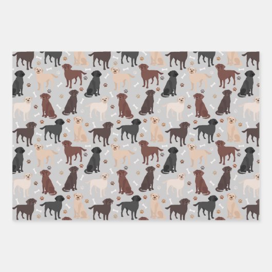 Labrador Retriever Peuten en Botten Verpakkingspap Inpakpapier Vel (Voorkant 3)