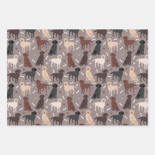 Labrador Retriever Peuten en Botten Verpakkingspap Inpakpapier Vel (Voorkant 2)