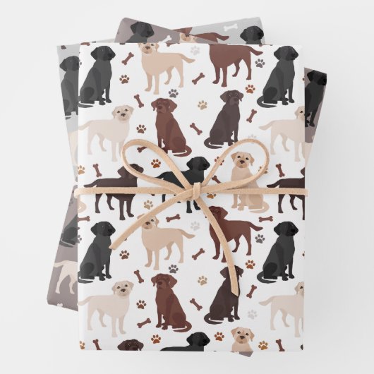 Labrador Retriever Peuten en Botten Verpakkingspap Inpakpapier Vel (In situ)