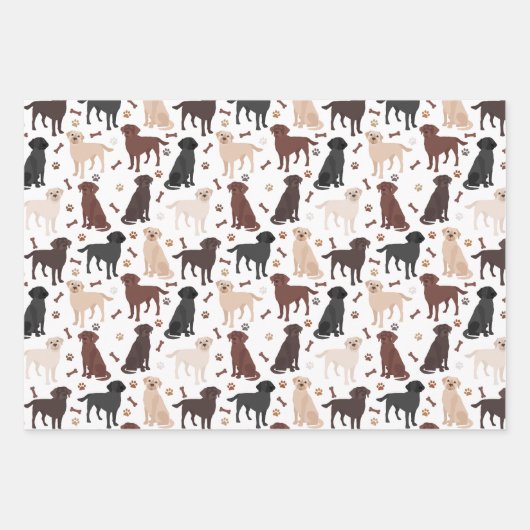 Labrador Retriever Peuten en Botten Verpakkingspap Inpakpapier Vel (Voorkant)