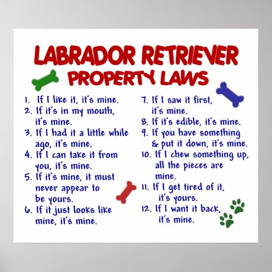 LABRADOR RETRIEVER PL2 POSTER (Voorkant)