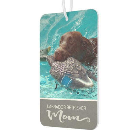 Labrador Retriever Plaats het Afbeelding van uw ho Luchtverfrisser (Links)