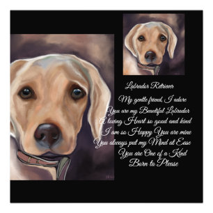 Labrador Retriever Poëzie Foto Afdruk