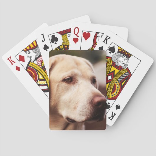 Labrador Retriever Pokerkaarten (Achterkant)