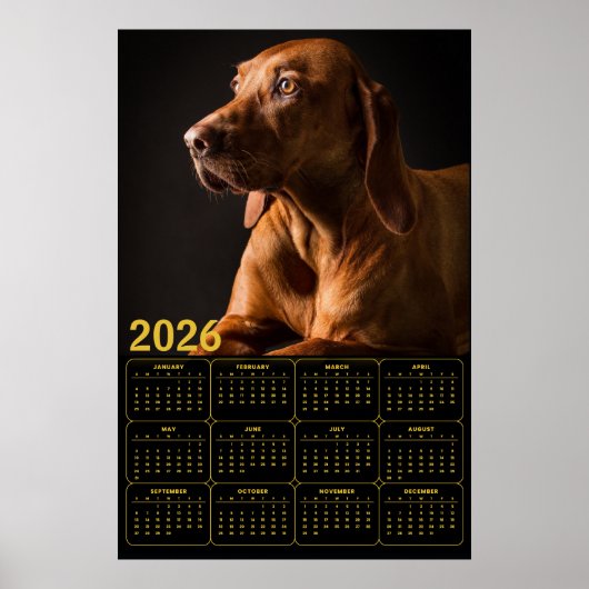 Labrador Retriever Portrait with 2026 Calendar Poster (Voorkant)