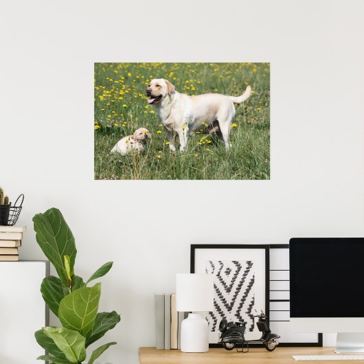 Labrador Retriever Poster (Thuiskantoor)