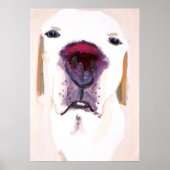 Labrador Retriever Poster (Voorkant)