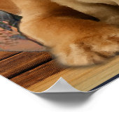 Labrador Retriever Poster (Hoek)
