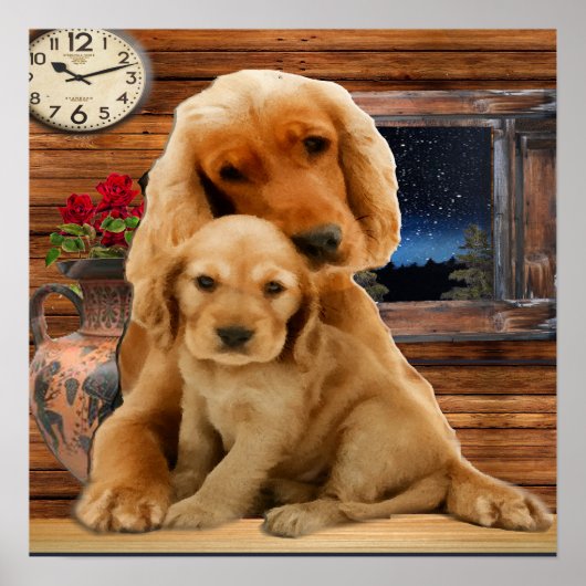 Labrador Retriever Poster (Voorkant)