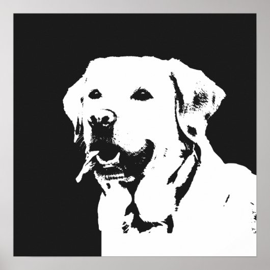 Labrador Retriever Poster (Voorkant)
