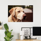 Labrador Retriever Poster (Thuiskantoor)