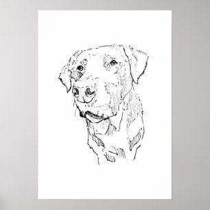 Labrador Retriever Poster Kunst, Muurprint