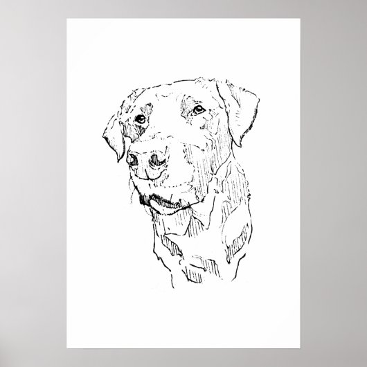 Labrador Retriever Poster Kunst, Muurprint (Voorkant)