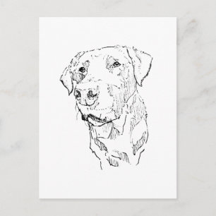 Labrador Retriever Poster Kunst, Muurprint Briefkaart