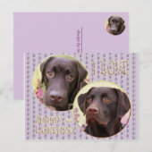 Labrador Retriever Postkarte Briefkaart (Voorkant / Achterkant)