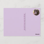 Labrador Retriever Postkarte Briefkaart (Achterkant)