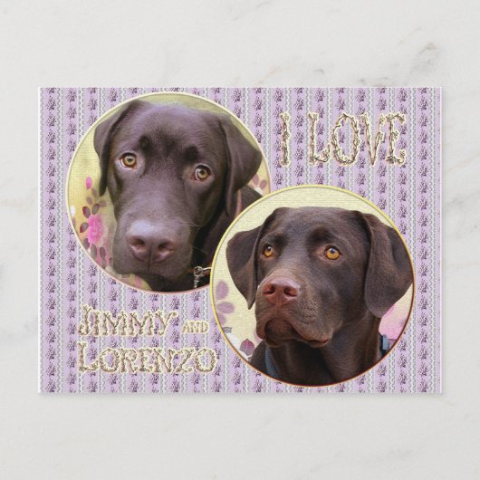 Labrador Retriever Postkarte Briefkaart (Voorkant)