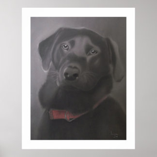 Labrador Retriever — prachtig 24 x 30 inch Poster