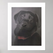 Labrador Retriever — Prachtige 11x14 Poster (Voorkant)