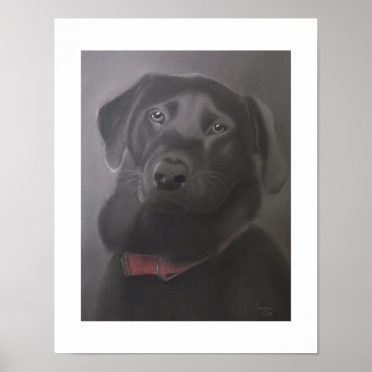 Labrador Retriever — Prachtige 11x14 Poster (Voorkant)