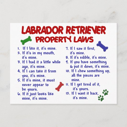 LABRADOR RETRIEVER Property Wetten Briefkaart (Voorkant)