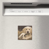 Labrador Retriever pup Magneet (Insitu (Vaatwasser))