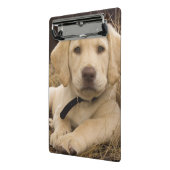 Labrador Retriever pup Mini Klembord (Angled2)