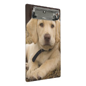 Labrador Retriever pup Mini Klembord (Schuin)