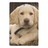 Labrador Retriever pup Mini Klembord (Achterkant)