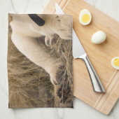 Labrador Retriever pup Theedoek (Quarter Fold)