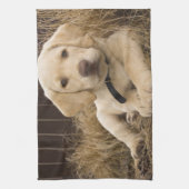 Labrador Retriever pup Theedoek (Verticaal)