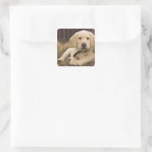 Labrador Retriever pup Vierkante Sticker (Tas)