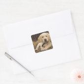 Labrador Retriever pup Vierkante Sticker (Envelop)