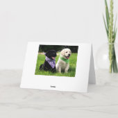 Labrador Retriever Puppies Blank Greeting Card Kaart (Achterkant)