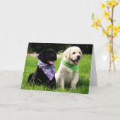 Labrador Retriever Puppies Blank Greeting Card Kaart (Gele Bloem)