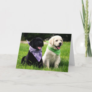 Labrador Retriever Puppies Blank Greeting Card Kaart