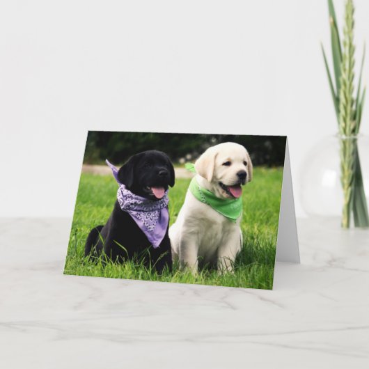 Labrador Retriever Puppies Blank Greeting Card Kaart (Voorkant)