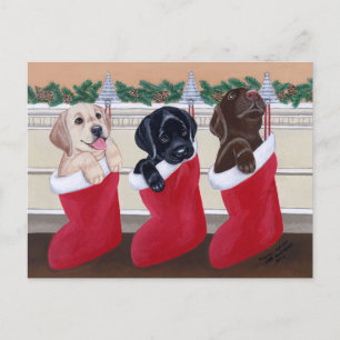 Labrador Retriever Puppies Christmas Post Kaarten Feestdagenkaart