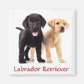 Labrador Retriever Puppies Koelkastmagneet Magneet (Voorkant)