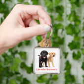 Labrador Retriever Puppies Premium Sleutelhanger (Hand)